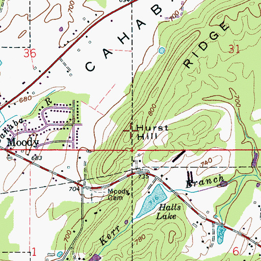 Topographic Map of Hurst Hill, AL