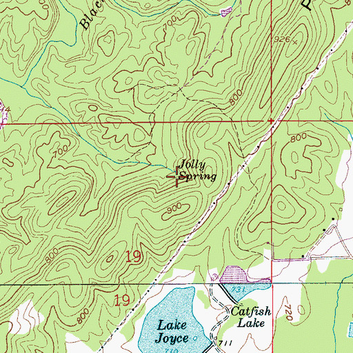 Topographic Map of Jolly Spring, AL