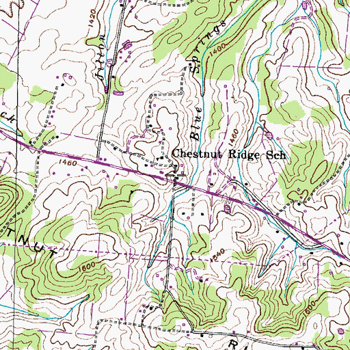Topographic Map of Chestnut Ridge, TN