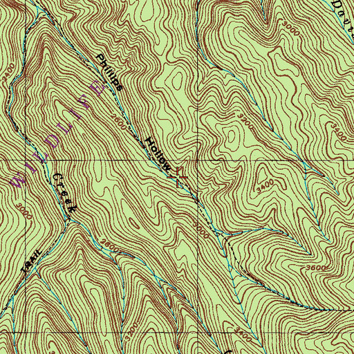 Topographic Map of Phillips Hollow Trail, TN