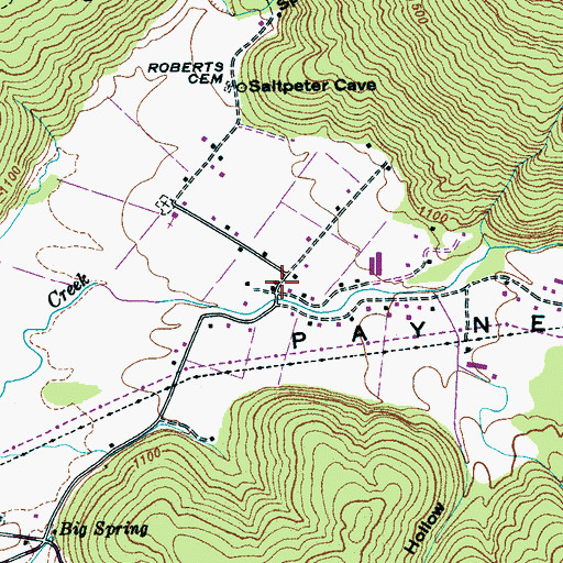 Topographic Map of Payne Cove, TN