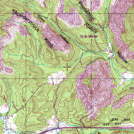 Topographic Map of Gooch Hollow, TN