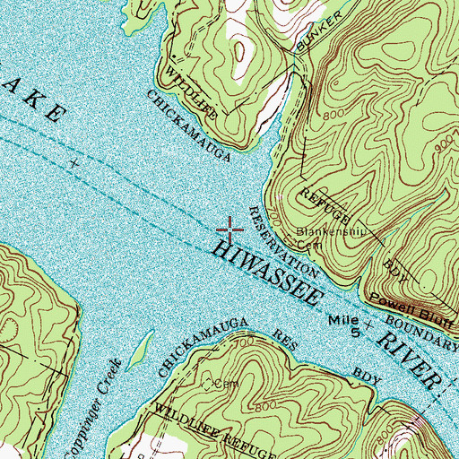 Topographic Map of Lagoon Branch, TN