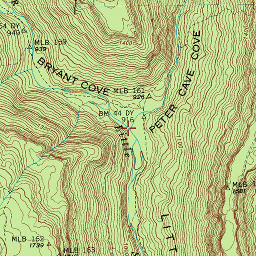 Topographic Map of Peter Cove Creek, TN