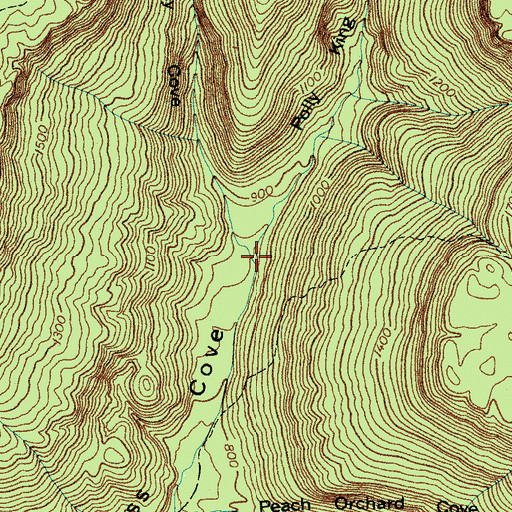 Topographic Map of Roy Cove Branch, TN
