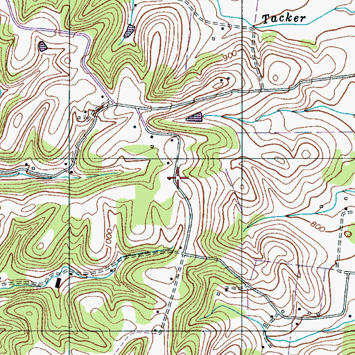 Topographic Map of Apple Hill, TN