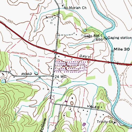 Topographic Map of Richland Trace Subdivision, TN