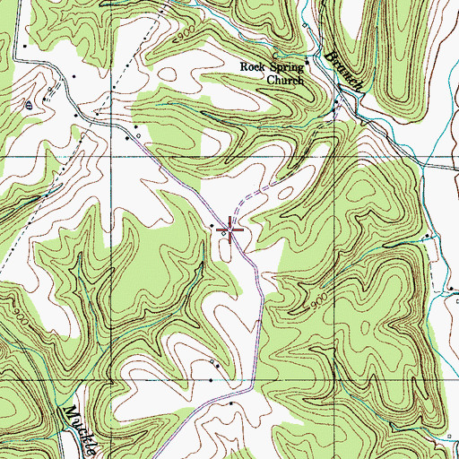 Topographic Map of Womble Ridge, TN