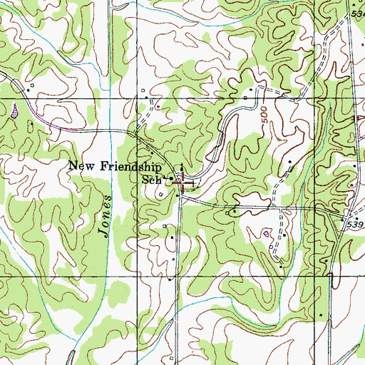 Topographic Map of New Friendship, TN
