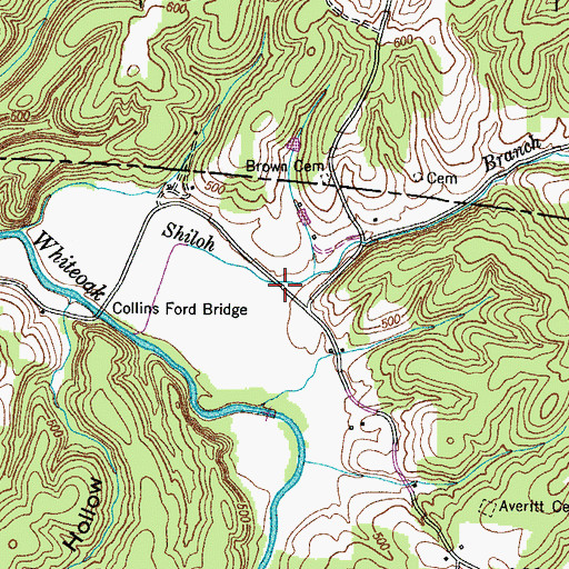 Topographic Map of Shiloh Hollow, TN