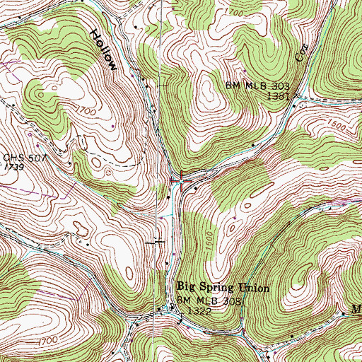 Topographic Map of Daniel Hollow, TN