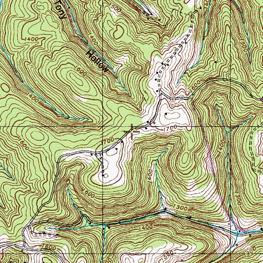 Topographic Map of Haynes Ridge, TN