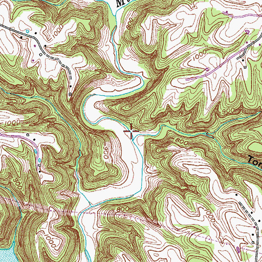 Topographic Map of Tom Hollow Branch, TN