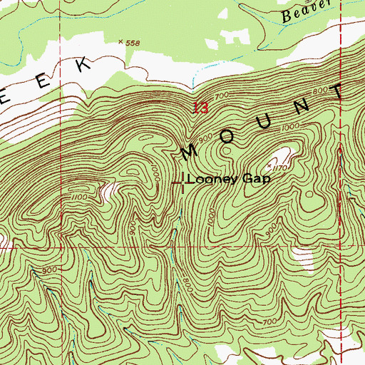 Topographic Map of Looney Gap, AL