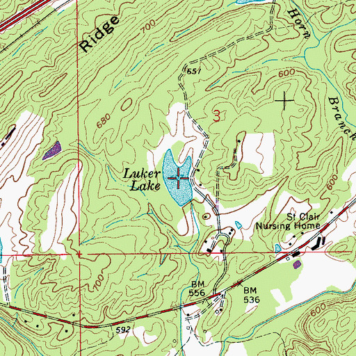 Topographic Map of Luker Lake, AL