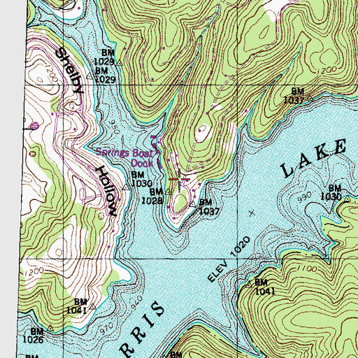Topographic Map of Alder, TN