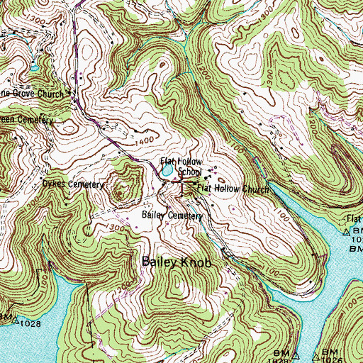 Topographic Map of Flat Hollow, TN