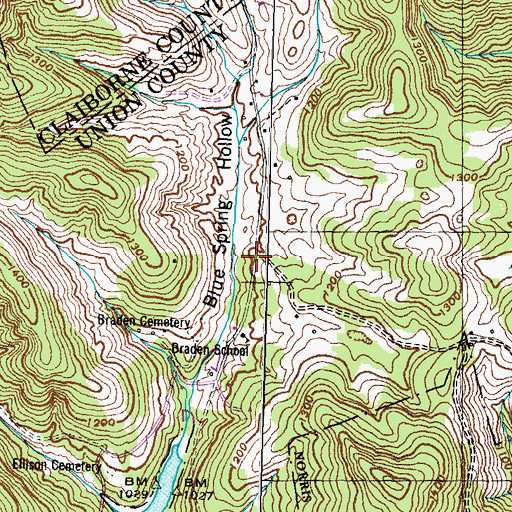 Topographic Map of Braden, TN