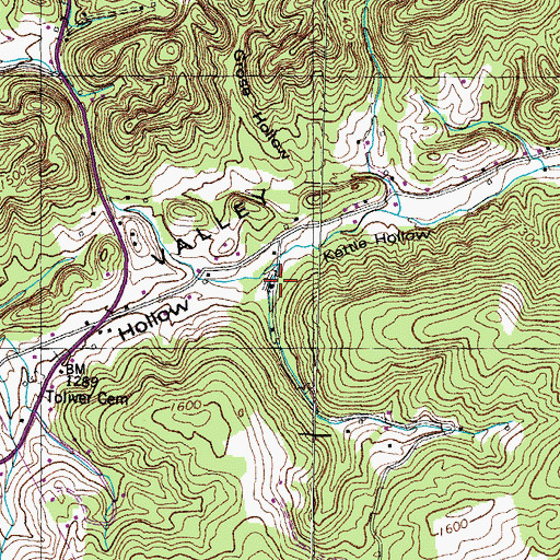 Topographic Map of Chestnut Grove, TN