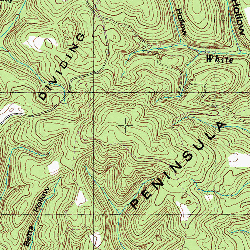 Topographic Map of Weavers sKnob, TN