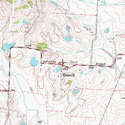 Topographic Map of Beech Chapel, TN
