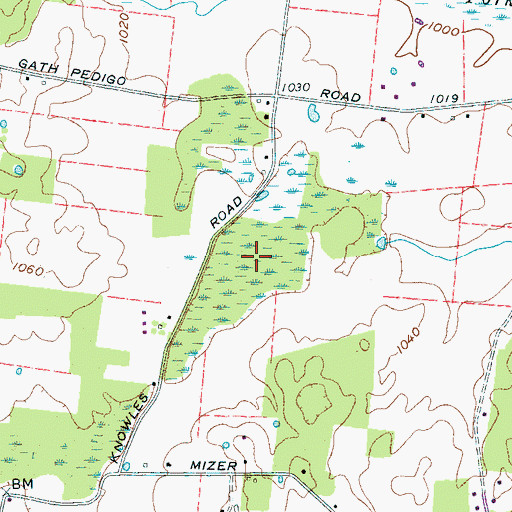 Topographic Map of Mizer Swamp, TN