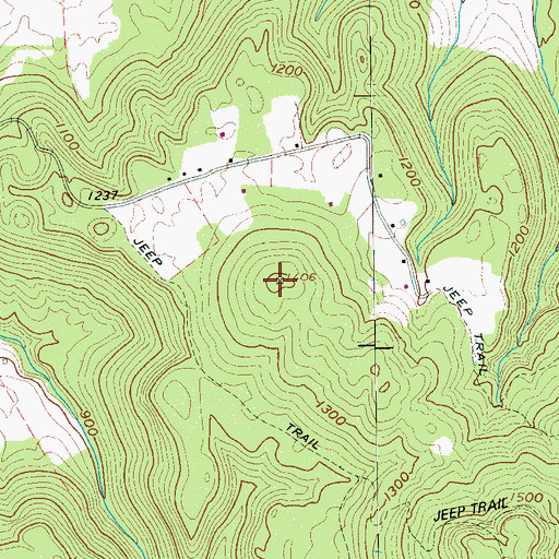 Topographic Map of Dukes Mountain, TN