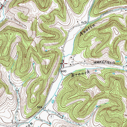 Topographic Map of Austin Hollow, TN