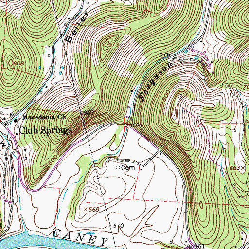 Topographic Map of Ferguson Hollow, TN
