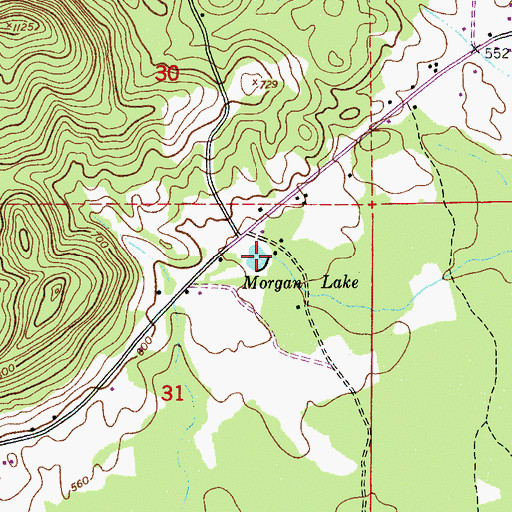 Topographic Map of Morgan Lake, AL