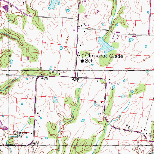 Topographic Map of Chestnut Glade, TN