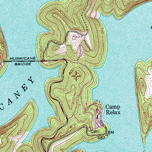 Topographic Map of Pedigo Ridge, TN