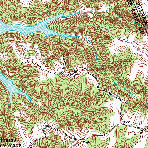 Topographic Map of Vickers Ridge, TN