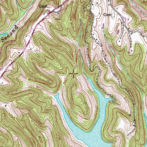 Topographic Map of Whitefield Ridge, TN