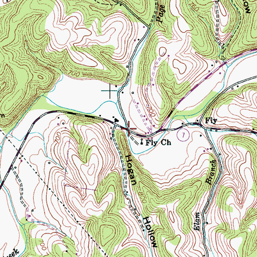 Topographic Map of New Flys Village, TN