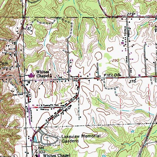 Topographic Map of White Chapel, TN