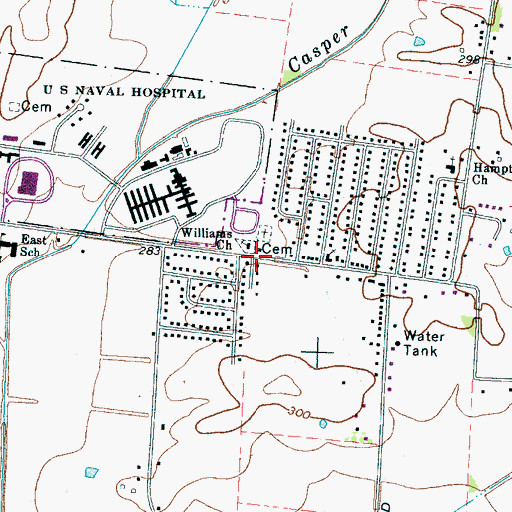 Topographic Map of Williams Chapel, TN