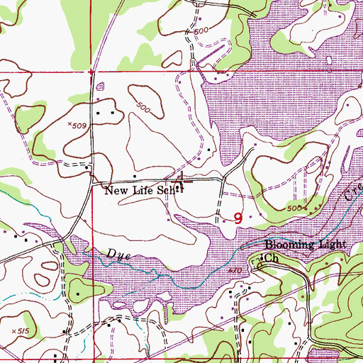 Topographic Map of New Life School, AL