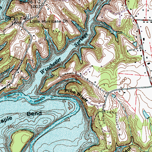 Topographic Map of Pine Bluff, TN