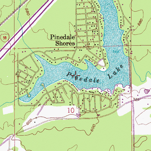 Topographic Map of Pinedale Lake, AL