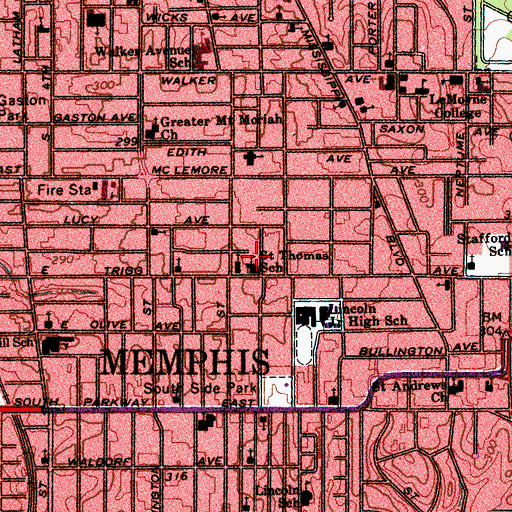 Topographic Map of Saint Thomas School, TN