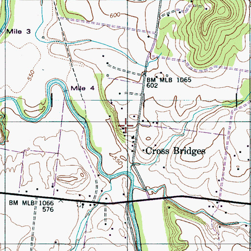 Topographic Map of Cross Bridges Junior High School, TN