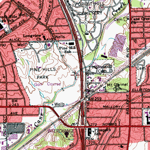 Topographic Map of Marjorie Bayou, TN