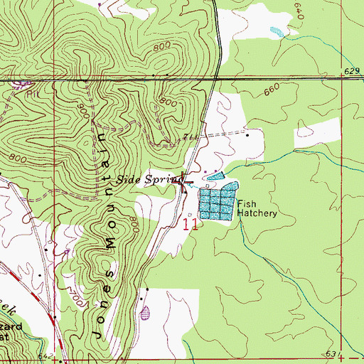 Topographic Map of Side Spring, AL