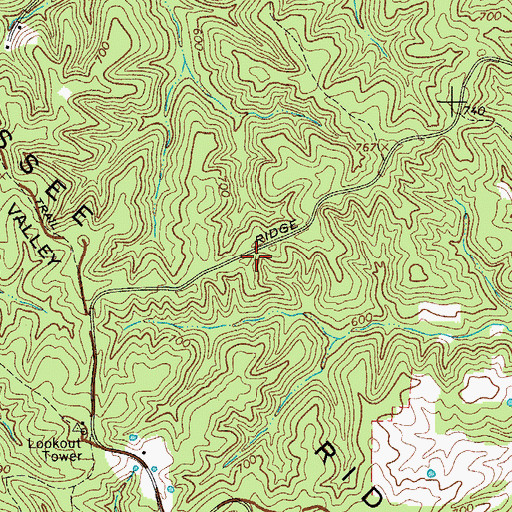 Topographic Map of Houston County, TN