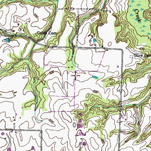 Topographic Map of Cottage Grove Division (historical), TN