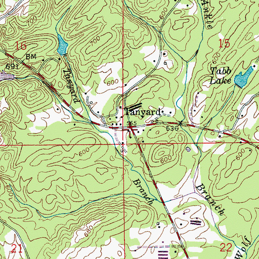 Topographic Map of Tanyard, AL