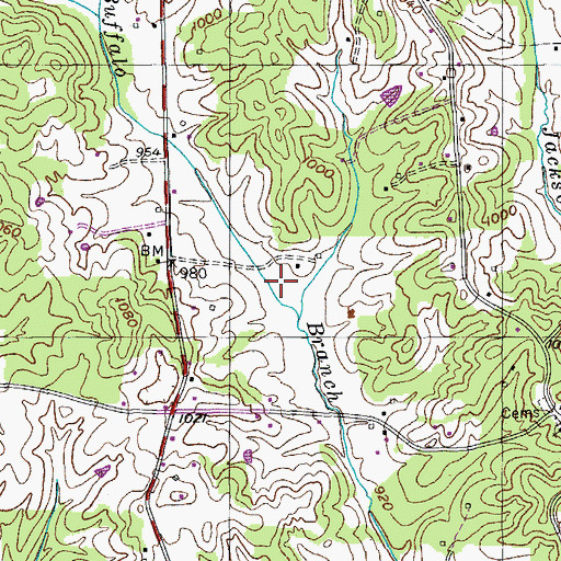 Topographic Map of Hilham Division (historical), TN