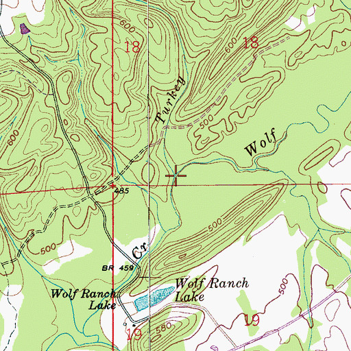 Topographic Map of Turkey Branch, AL
