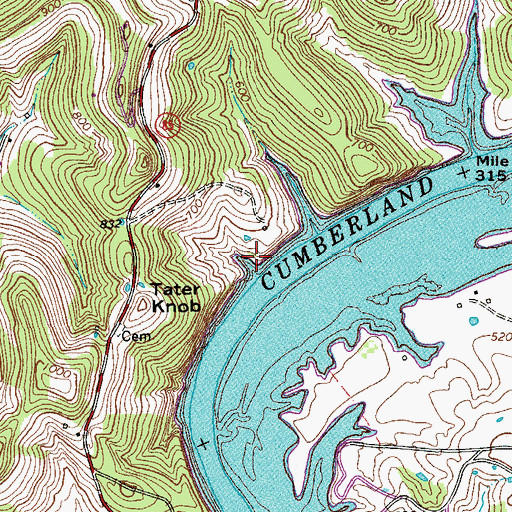 Topographic Map of Carthage Division (historical), TN
